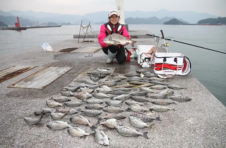 大分クロダイ釣行記 地波止で黒鯛 カイズ メイタ 大漁 14年12月 遠矢ウキ 有限会社トオヤ公式サイト