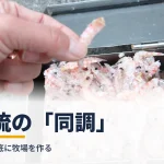 遠矢流の「同調」― 釣りの通説を斬る第二部タイトルカード