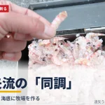 遠矢流の「同調」― 釣りの通説を斬る第二部タイトルカード