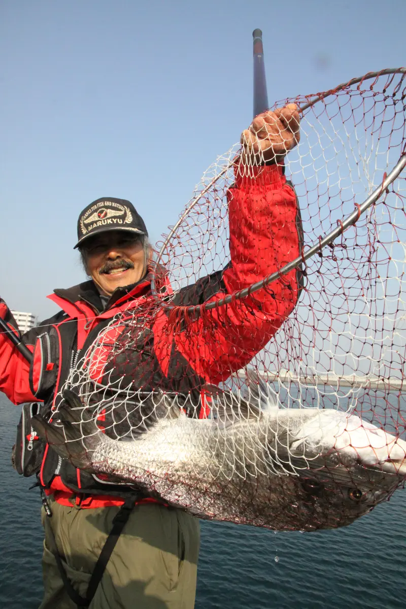 遠矢流のコマセワークで釣れた大型クロダイをタモに収めた遠矢国利名人