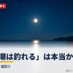 「大潮は釣れる」は本当か 〜名人が狙う潮回り タイトルカード。満月に照らされた夜の海