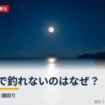 大潮で釣れないのはなぜ？〜名人が狙う潮回り タイトルカード。満月に照らされた夜の海